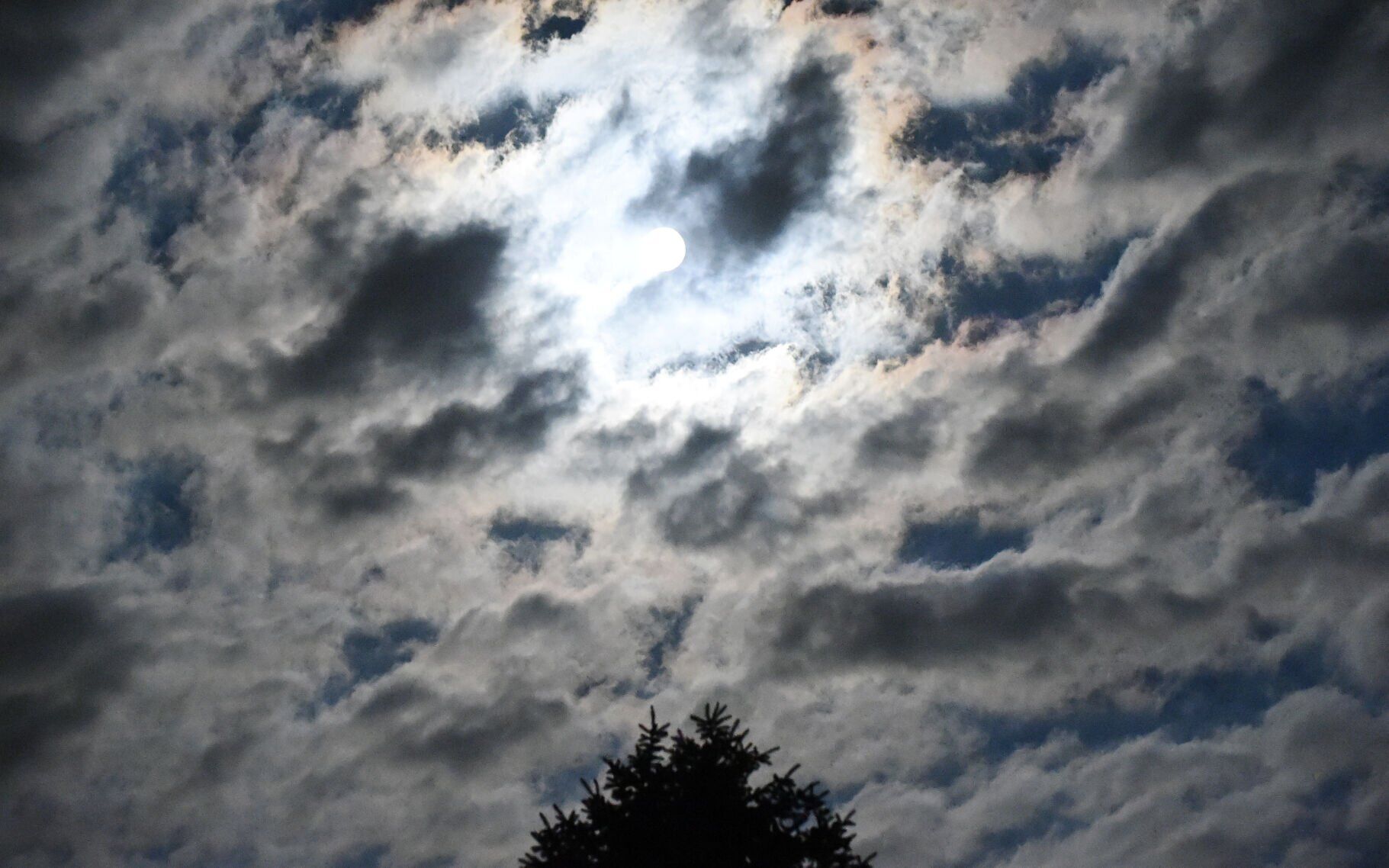 0 DSC_9574.jpg
